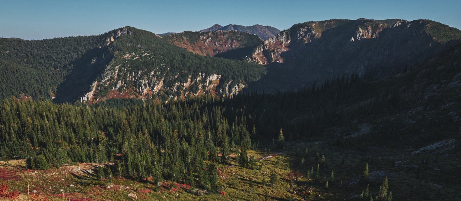 Mountain Clog Relaunch Delay