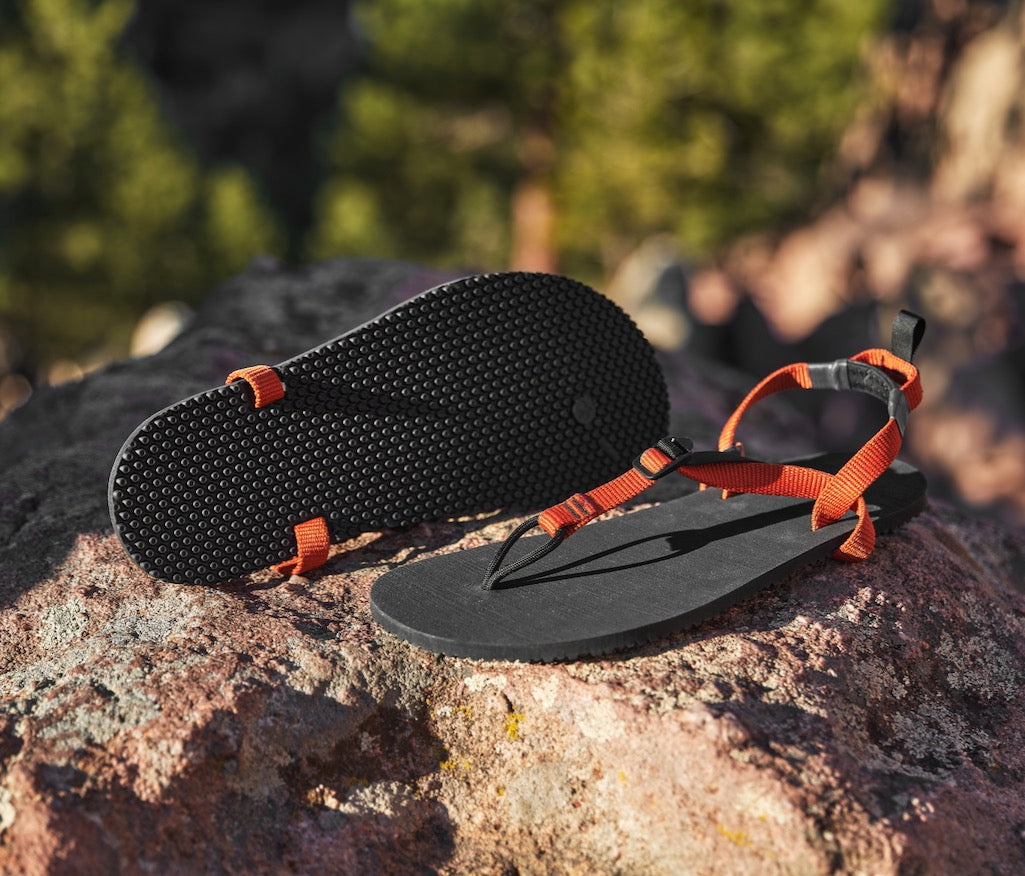 Classic LT Sandals