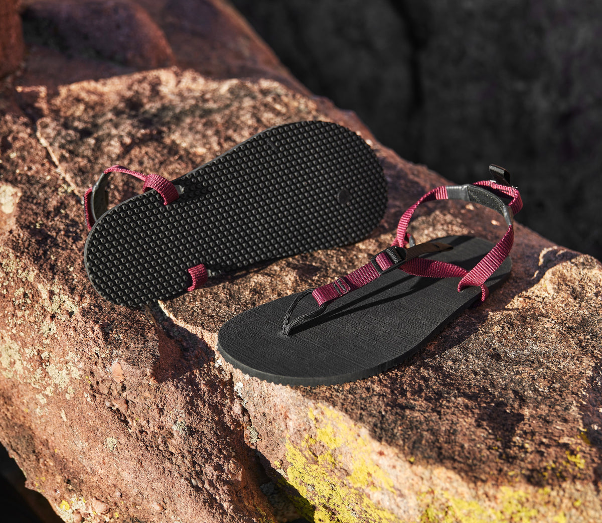 Classic LT Sandals Burgundy Outdoors