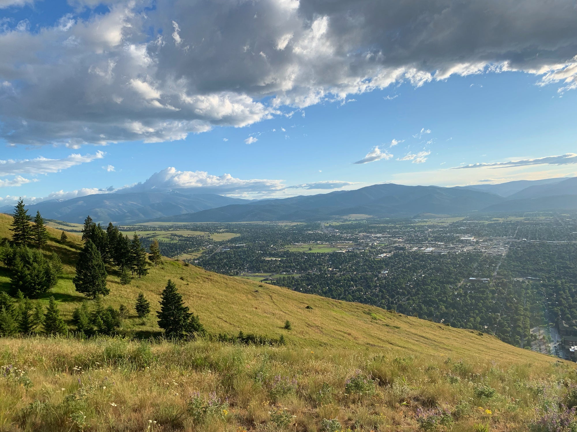 Missoula, Montana in July as seen from Mount Sentinel