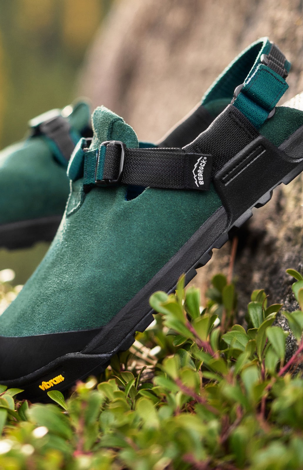 Green mountain clogs on a rocky surface