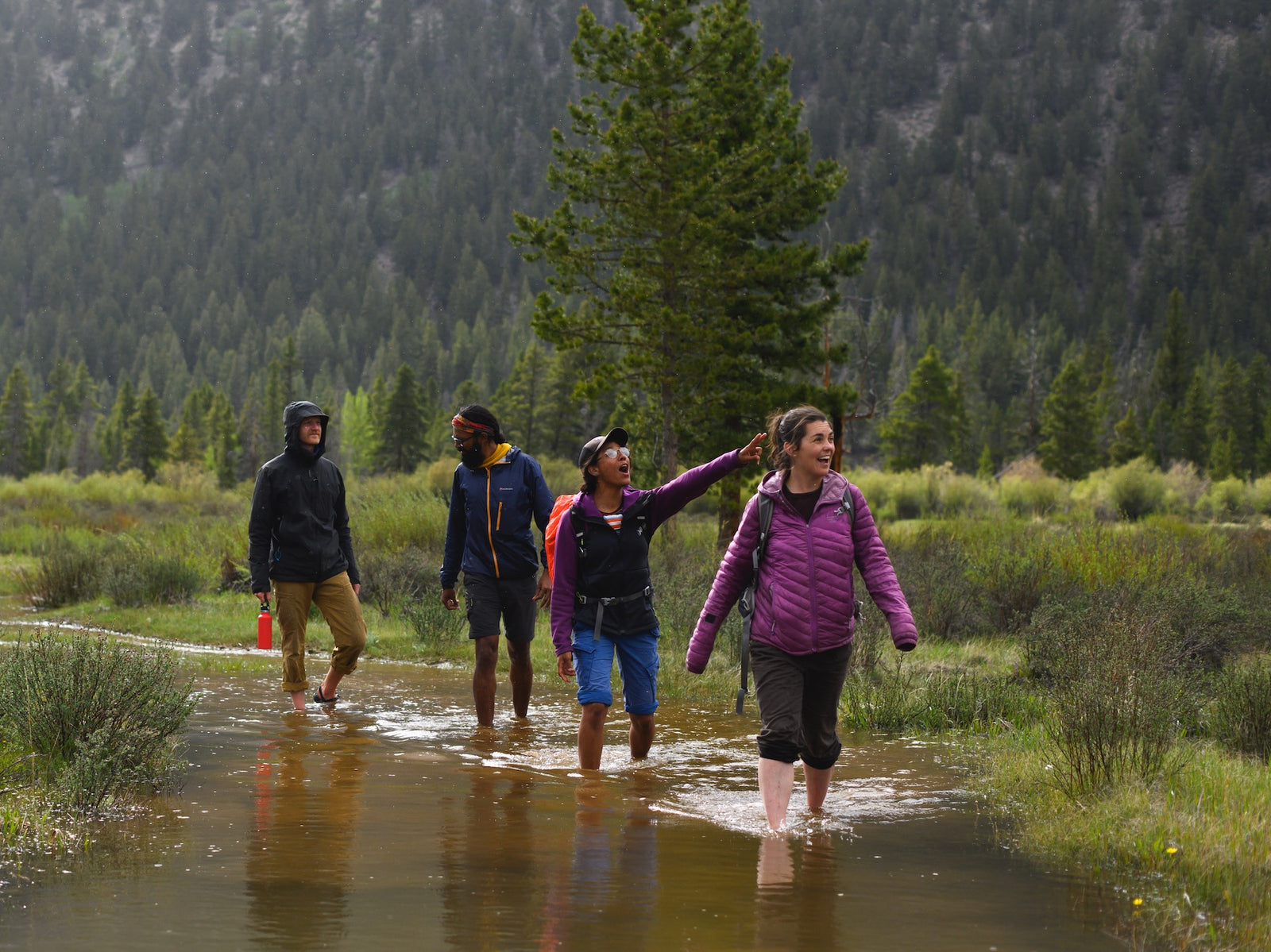 Four people walking together through stream